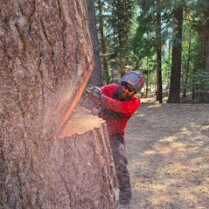 Business Image 14